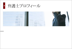 弁護士プロフィール