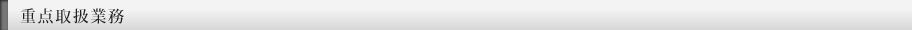 重点取扱業務