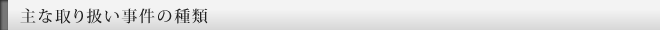 主な取り扱い事件の種類