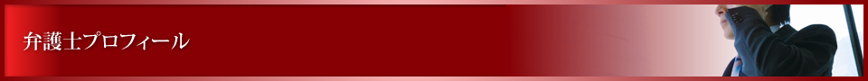 弁護士プロフィール